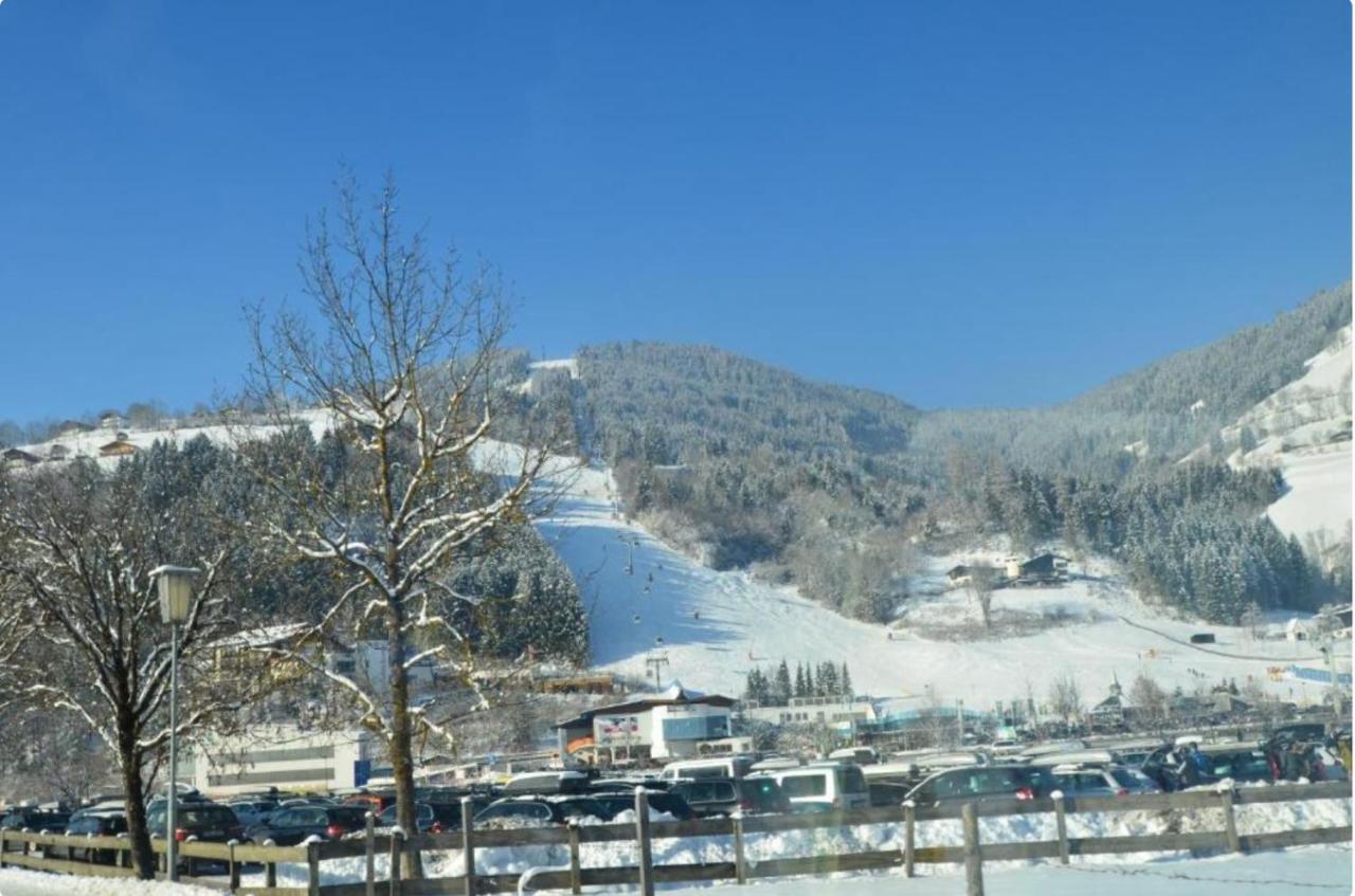 Alpine *